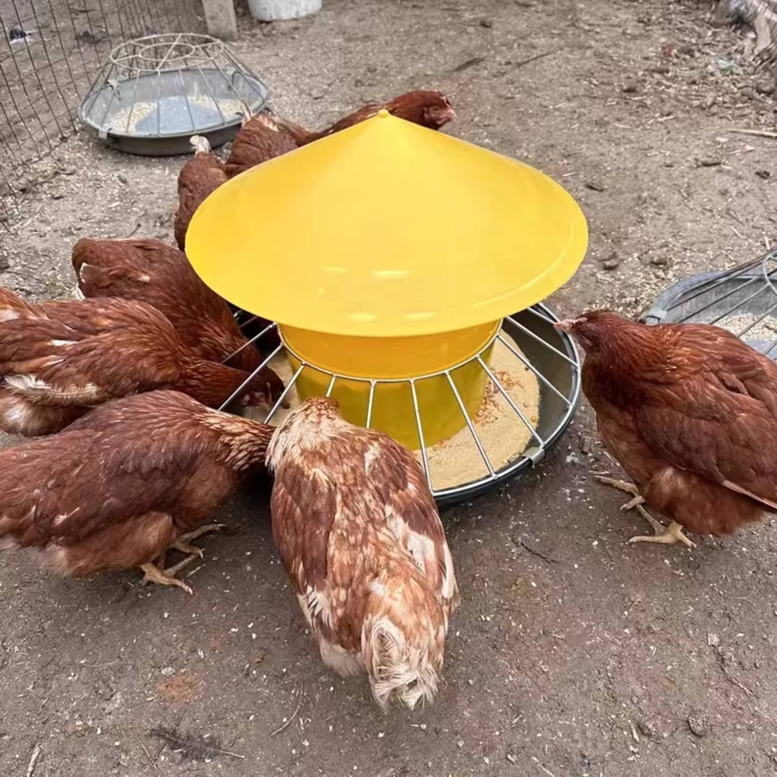 Comedero Redondo para Aves de  - Feeding reseña y precio