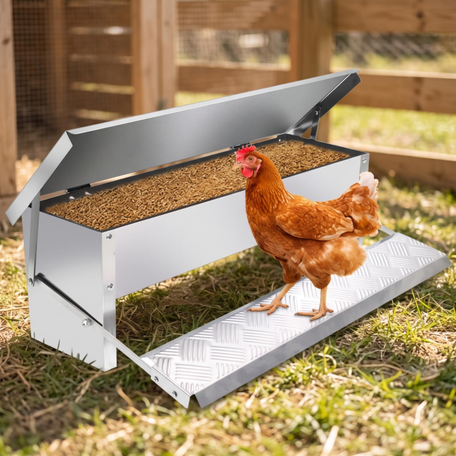 Comedero Automático para Aves  - Feeding reseña y precio