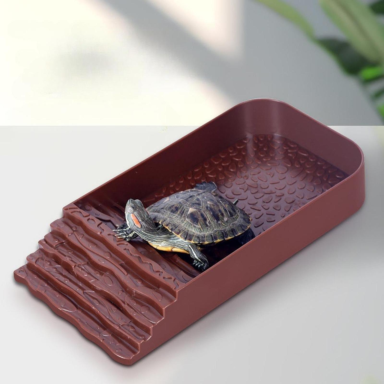 Plato de Agua Grande para Tort - Feeding reseña y precio